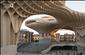 مترو پاراسول، بزرگ ترین پل چوبی جهان